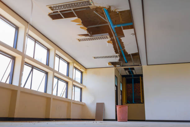 Carpet water damage restoration in Hampden Sydney, VA