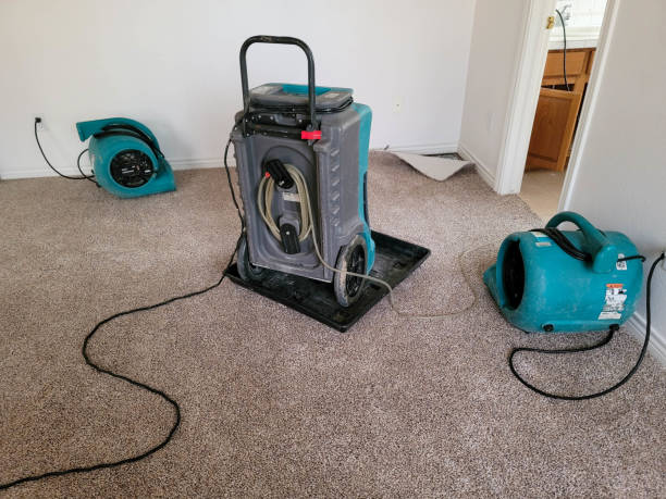 Best 24/7 water damage repair  in Hampden Sydney, VA