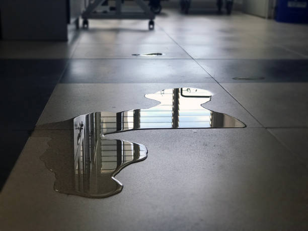 Best Water damage restoration near me  in Hampden Sydney, VA