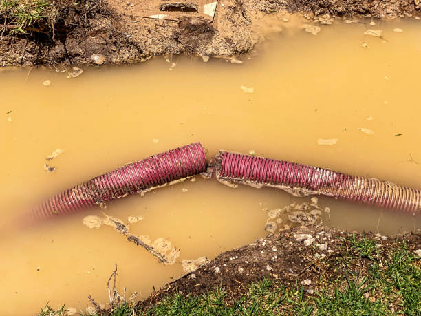 Hampden Sydney, VA Water damage restoration Company